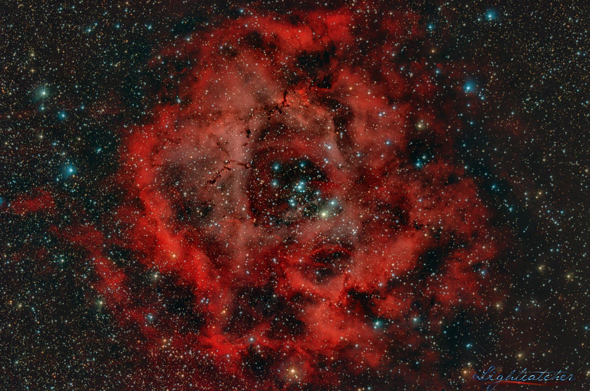 ngc2237玫瑰星云壁纸图片